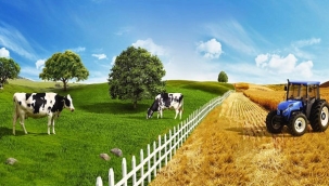 DERİN İHANET... KATİLİN PARMAK İZLERİ...