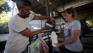 İngiliz gelin Sarah Durrant, İngiltere'de yönetici olarak çalıştığı işini bırakıp yerleştiği Aydın'da hayvancılığa başladı