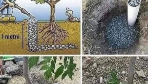 Avusturalya'da yaygın olarak uygulanan bir sistemmiş. ..