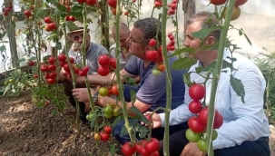 Tebrikler Hikmet AYBA  