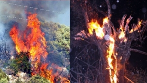 Toprağımız kadar geleceğimiz de yanıyor 