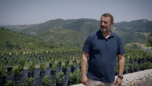 Yalova'da Anahtar teslim çiftçilik fırsatı 