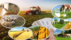 2023 üretim yılı desteklemeleri açıklandı. Bir kaç destekleme kalemi dışında artış yok...