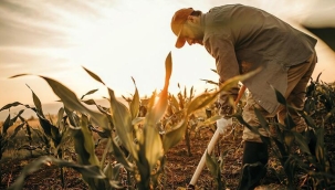 AB destekli kırsal kalkınma programında 100 milyar lira yatırım, 100 bin istihdam