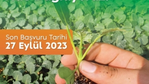 BELEDİYEDEN ÜRETİCİLERE FİDE DESTEĞİ FİDE DAĞITIMI İÇİN SON BAŞVURU "27 EYLÜL"