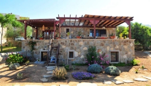 BUNLARI BİLMEDEN ARAZİ - TARLA - ARSA ALMAYIN