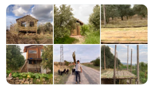 DOĞAL TARIMIN ÜSTADI SN. MEHMET TÜLÜCE BEY'DEN SEÇMELER...