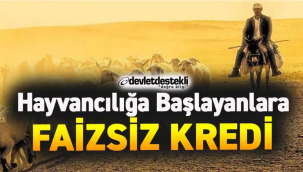 Hayvancılık Kredisi 2023 Yılı Şartları Ziraat Bankası Faizsiz Desteği!