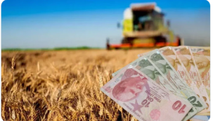 Tarımda 2023 yılı mazot ve gübre destekleri çiftçide hayal kırıklığı yarattı