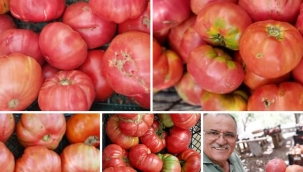 YERLİ VE MLLİ OLSUN, ATA TOHUMU OLSUN DEDIK..