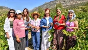 Çömelek'te Patkara Bağ Bozumu etkinliği yapıldı