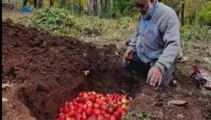 ESKİ BİR MUHAFAZA YÖNTEMİ, ELMA KUYULARI