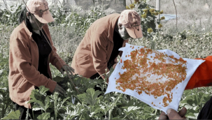 Eskişehir'de üretip tüm Türkiye'ye ücretsiz dağıtıyorlar