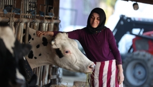 Evinin süt ihtiyacı için aldığı inek Giresunlu Esra Küçük 'ün hayatını değiştirdi