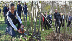 ORDU TARIM İL MÜDÜRÜ KEMAL YILMAZ, FINDIKTA BUDAMA VE BAKIM KONULARINDA UYARILARDA BULUNDU