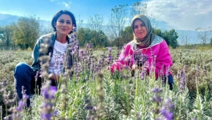 KADIN GİRİŞİMCİ ESRA ESER'DEN LAVANTA VE ARICILIKTA BAŞARI ÖYKÜSÜ