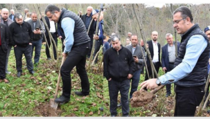 Ordu İl Müdürü Kemal YILMAZ; fındık üreticilerimize toprak tahlili yaptırmaları konusunda uyarılarda bulundu
