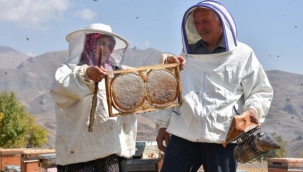 Ordulu çift Yüksekova'da 30 yıldır arıcılık yapıyor