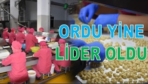SEZONUN İLK AYINDA PAZARA İNEN FINDIK MİKTARI ŞAŞIRTTI