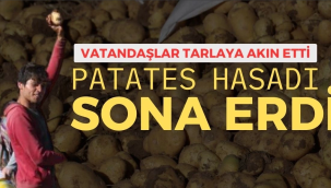 Sivas'ın Hafik ilçesinde Vatandaşlar tarlaya akın etti, kışlık ihtiyaçlarını ücretsiz karşıladılar