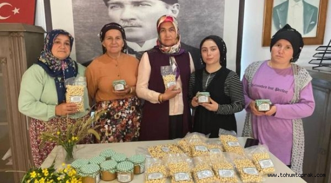 SOĞUKPINARLI KADINLAR FINDIK ÜRETİMİNDE KENDİ YOLLARINI ÇİZİYOR