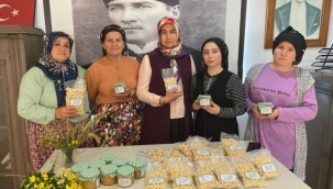 SOĞUKPINARLI KADINLAR FINDIK ÜRETİMİNDE KENDİ YOLLARINI ÇİZİYOR