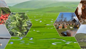 Tarım Bakanlığı'na mevzuatı çiğneten kim bu hatırı sayılır torpilli!