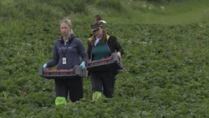 TARIM VE ORMAN BAKANI YUMAKLI, 21 YILDA KADIN ÜRETİCİLERE ÇEŞİTLİ ALANLARDA YAKLAŞIK 15 MİLYAR LİRA DESTEK VERDİKLERİNİ AÇIKLADI