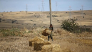 TARIMIN GENÇ KAHRAMANI: NİDA ELİF SELCİ'NİN BAŞARI HİKAYESİ