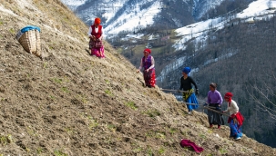 YÜZÜNCÜ YİLDA TARIM VE KIRSAL GELİŞİM