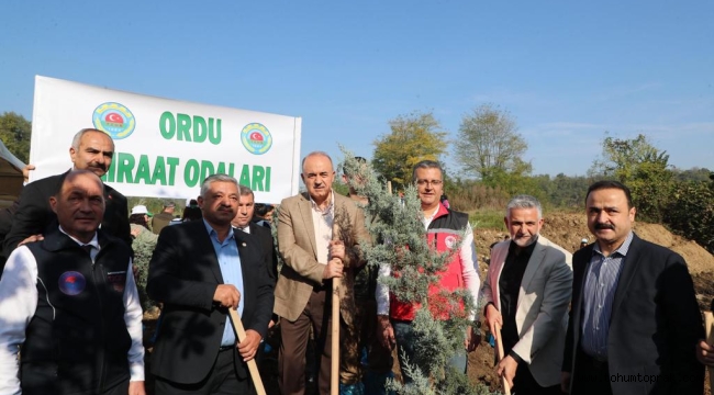 100. Yıl Cumhuriyet Ormanı Fidan Dikimi Etkinliği Yapıldı