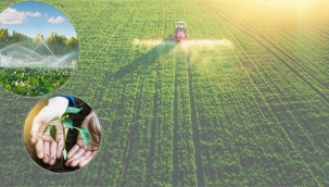 47 Milyon Liralık Tarımsal Destekleme Ödemesi Bugün Hesaplara Aktarılacak