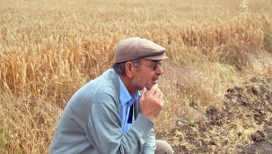 5 bin lira ikramiye alamayan emekli çiftçilerimiz üretimden vazgeçiyor