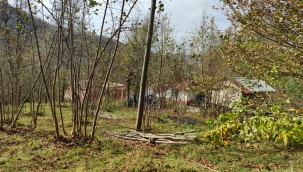 BİR ÜLKE TARIMI NASIL ÇÖKERTİLİR 