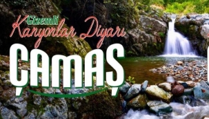 ÇAMAŞ HANIMELİ KADIN KOOPERATİFİ ÖZENLE SUNAR