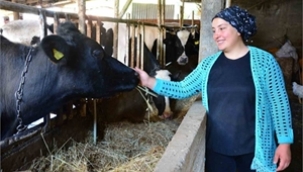 ENGELLİ VE ESKİ HÜKÜMLÜLERE ALTIN FIRSAT: 2024 HİBE DESTEĞİ BAŞVURULARI AÇILDI!