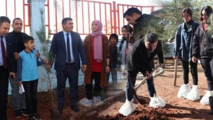 Midyat Aziz Önen Lisesi'nde Her Sınıfın Bir Ağacı Var Projesi Kaynak: Midyat Aziz Önen Lisesi'nde Her Sınıfın Bir Ağacı Var Projesi 