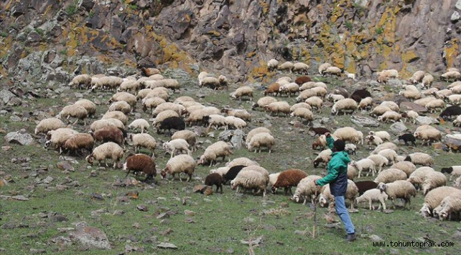 Tarım sektöründeki büyük Tehditler