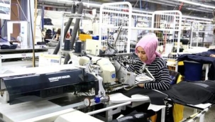 Giresun'da 1100 kişiye istihdam sağlıyor, enerjisini güneşten alıyor