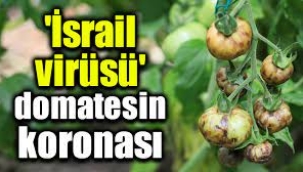 'İSRAİL VİRÜSÜ' CORONAVİRÜS GİBİ YAYILIYOR...