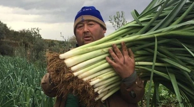Manisalı üretici 35 yıl sonra ata tohumlarıyla sebze yetiştirmeye başladı