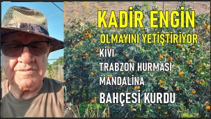 Ordulu Sanayici fındık bahçelerini narenciye bahçesine dönüştürdü