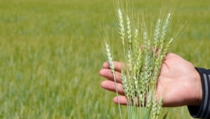 TAM BAĞIMSIZ TÜRKİYE için ÇALIŞMA VE ÜRETİM SEFERBERLIGİ BAŞLATILMALI