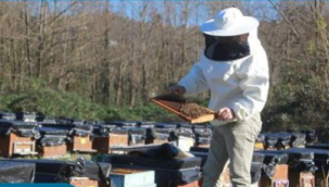 Türkiye'de en fazla bal üretiminin yapıldığı Ordu'da arıcılar, gelecek sezon verimi arttırmak için kışlık bakım çalışmalarını sürdürüyor.