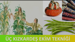 Tarımda Üç Kızkardeşler Yöntemi... 