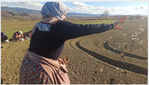 'Beyaz Altın' Kastamonu Taşköprü Sarımsağının Toprakla Buluşma Hikâyesi (Sarımsak Nasıl Dikilir?)