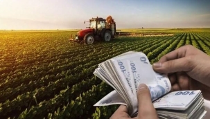 Çiftçi destek ödeme sorgulama 2024 e-Devlet: Tarımsal destek ödemeleri sorgulama nasıl yapılır? 