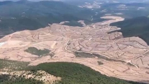 Kanada'da 40 cm ağaç dalı için ceza kesiyorlar. Ya bizim dağlarımız!