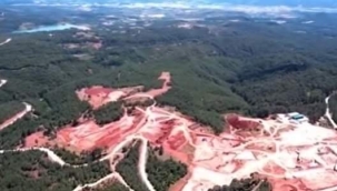 21 MART DÜNYA ORMANCILIK GÜNÜ: ''MADENCİLİK VE ORMAN KAYBI'' 