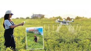 KADIN ÇİFTÇİLER 300 BİNİ GEÇTİ! TARLADAN SOFRAYA KADAR KADIN EMEĞİ VAR